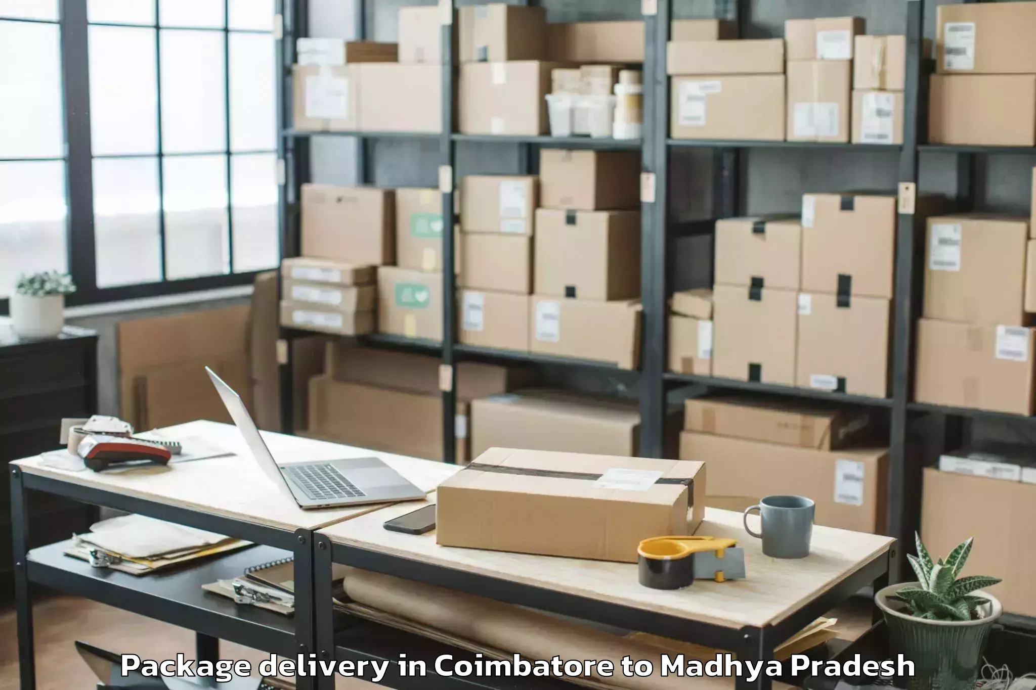 Reliable Coimbatore to Burhanpur Package Delivery